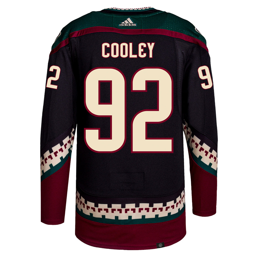 Arizona Coyotes Custom Purple Men's Adidas 2020-21 Alternate Authentic Player NHL Jersey