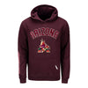 PRO STANDARD ARIZONA COYOTES CLASSIC HOODED SWEATSHIRT IN RED - FRONT VIEW