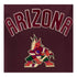 PRO STANDARD ARIZONA COYOTES CLASSIC T-SHIRT IN RED - ZOOM VIEW ON FRONT GRAPHIC