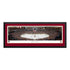 Arizona Coyotes Gila River Arena Deluxe Frame Panorama - Front View