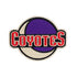 Arizona Coyotes Crescent Moon Emblem in White and Purple - Front View