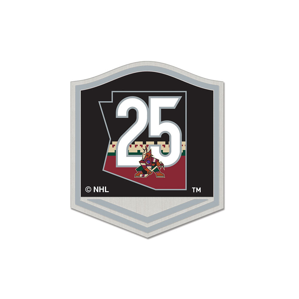 Arizona Coyotes Over the Moon About 25th Anniversary