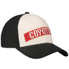 Adidas Arizona Coyotes Stretch Cap Flex Hat in Black and White - Right View