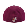 Arizona Coyotes  Box Hat in Red - Back View