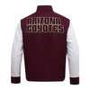 Pro Standard Arizona Coyotes Classic Wool Varsity Jacket in Red and White - Back View
