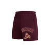 Pro Standard Arizona Coyotes Fleece Shorts in Red - Angled Left Side View