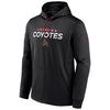 Arizona Coyotes Fanatics 2022 Authentic Pro Hooded Sweatshirt