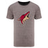 Arizona Coyotes Men's Fanatics Branded Distressed Tri Blend T-Shirt in Gray - Front View