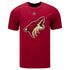 Arizona Coyotes Men's Fanatics Branded Derek Stepan Name & Number T-Shirt in Red - Front View