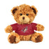 Arizona Coyotes 10" T-Shirt Bear in Brown - Front View