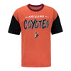 Youth Arizona Coyotes Outerstuff 2022-23 Reverse Retro T-Shirt