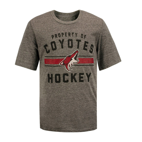 Youth Outerstuff Arizona Coyotes Property of T-Shirt in Gray - Front View