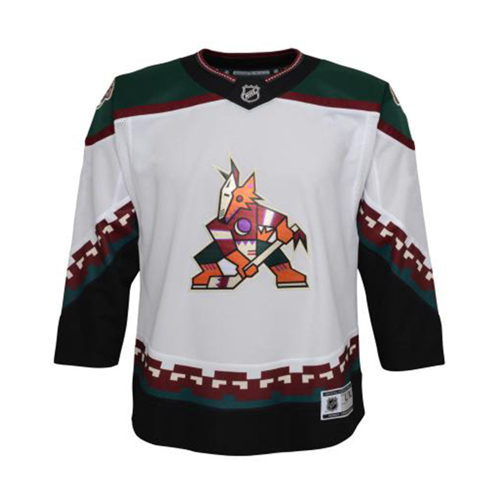  Arizona Coyotes Purple Blank Youth 8-20 Special Edition Premier  Team Jersey : Sports & Outdoors