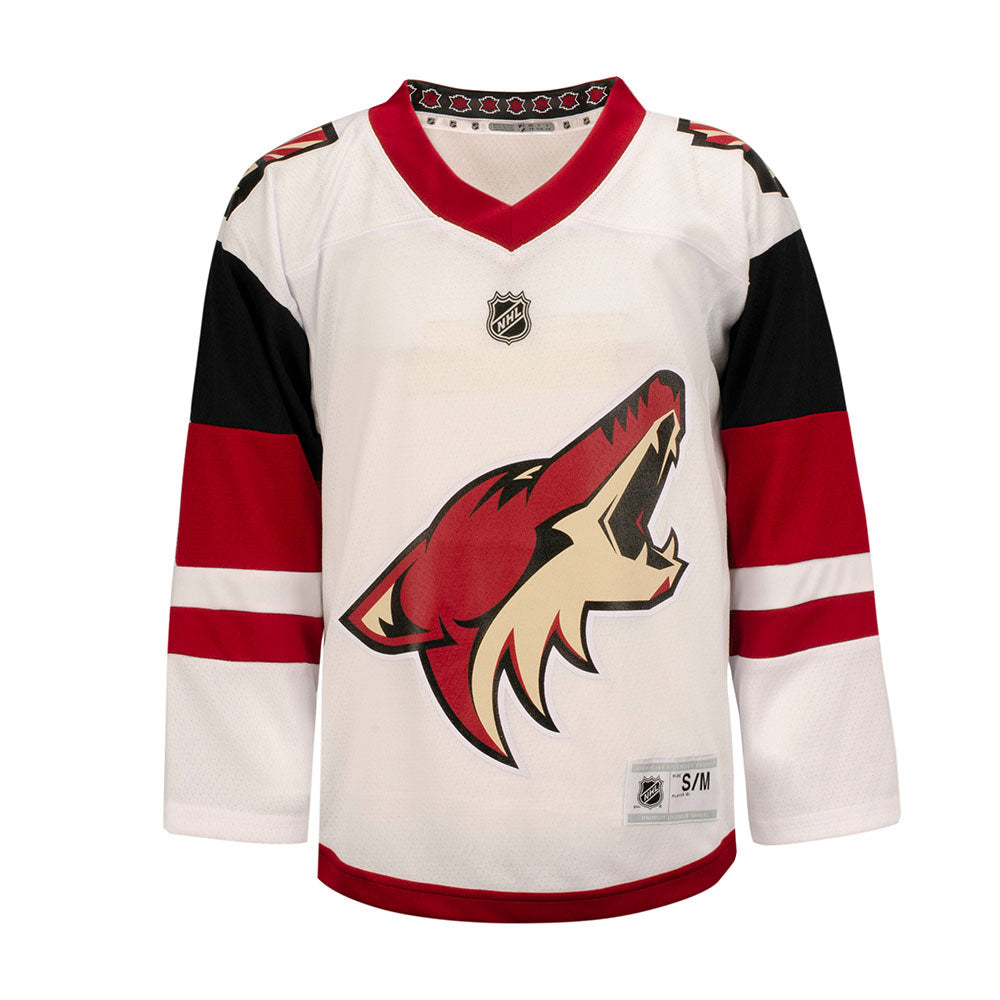  Arizona Coyotes Purple Blank Youth 8-20 Special Edition Premier  Team Jersey (8-12) : Sports & Outdoors